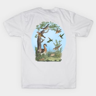 Birds Nature Illustration T-Shirt